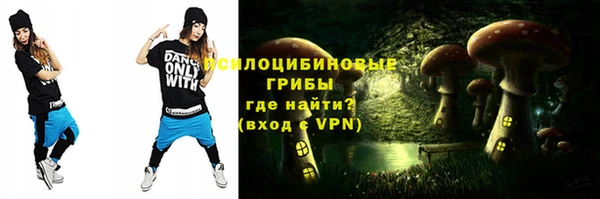 молекула духа Алзамай